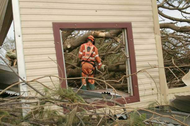 Best Tree Preservation Services  in Mohave Valley, AZ